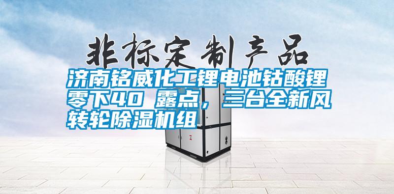 濟南銘威化工鋰電池鈷酸鋰零下40℃露點，三台全新風轉輪麻豆视频免费看組