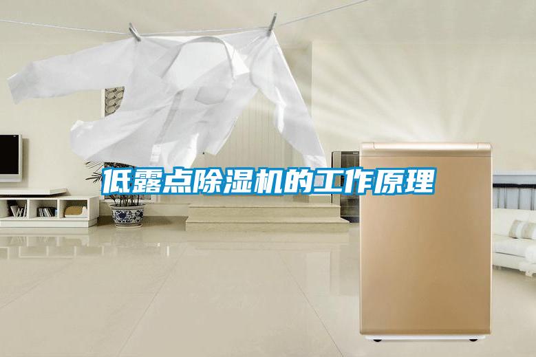 低露點麻豆视频免费看的工作原理