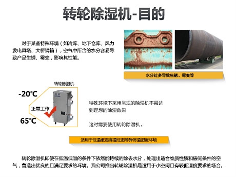 貓糧防潮秘籍，貓糧如何儲存