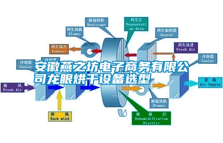 安徽燕之坊電子商務有限公司龍眼烘幹設備選型