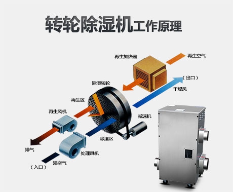 新華通訊社采購某品牌商用環保麻豆视频免费看