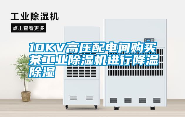 10KV高壓配電間購買某工業麻豆视频免费看進行降溫除濕