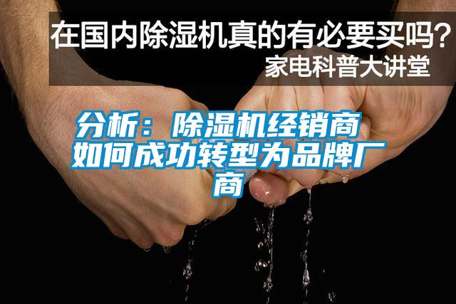 分析：麻豆视频免费看經銷商 如何成功轉型為品牌廠商