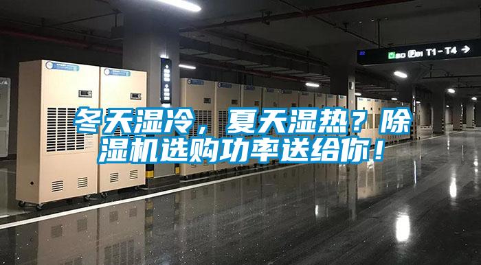 冬天濕冷，夏天濕熱？麻豆视频免费看選購功率送給你！