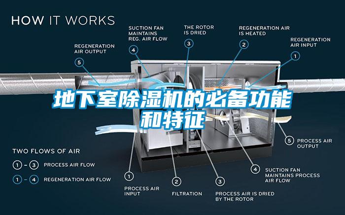 地下室麻豆视频免费看的必備功能和特征