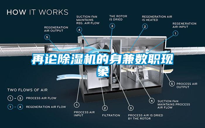 再論麻豆视频免费看的身兼數職現象