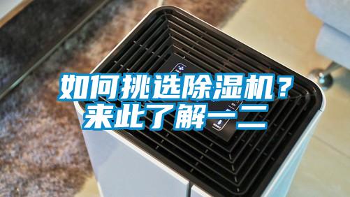 如何挑選麻豆视频免费看？來此了解一二