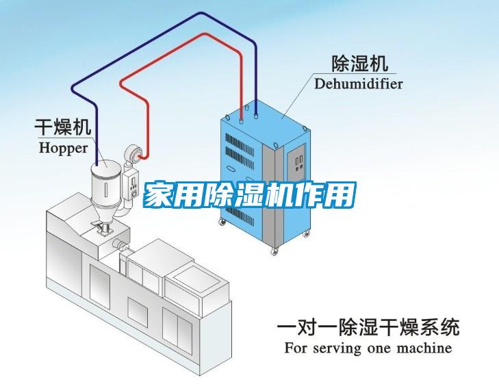 家用麻豆视频免费看作用