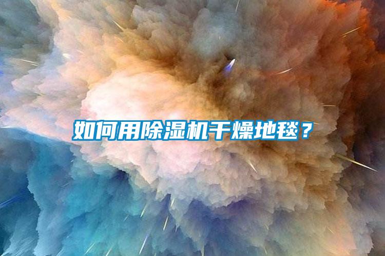 如何用麻豆视频免费看幹燥地毯？