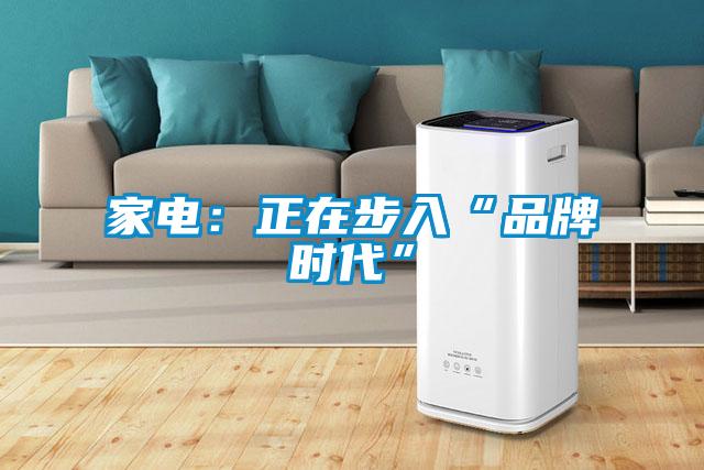 家電：正在步入“品牌時代”