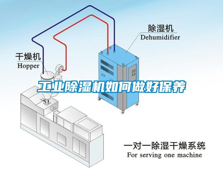 工業麻豆视频免费看如何做好保養