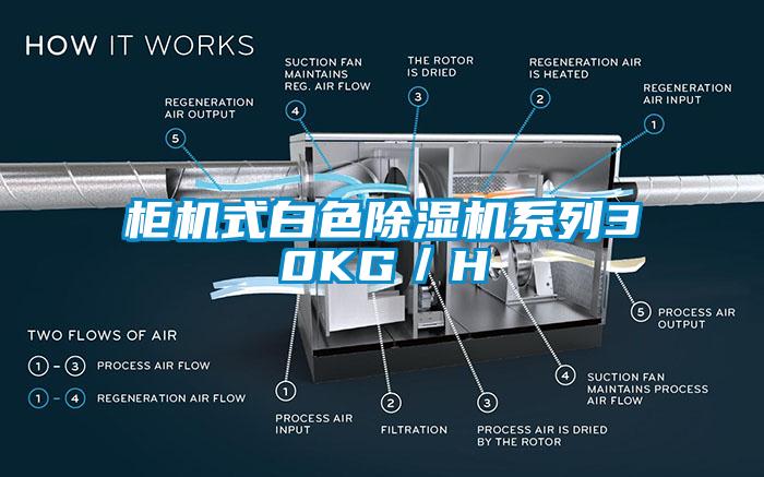 櫃機式白色麻豆视频免费看係列30KG／H