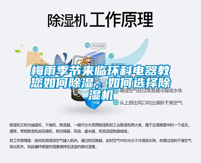 梅雨季節來臨環科電器教您如何除濕，如何選擇麻豆视频免费看