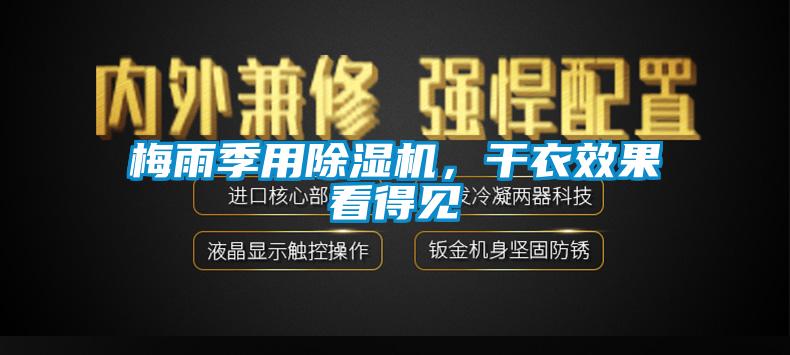 梅雨季用麻豆视频免费看，幹衣效果看得見