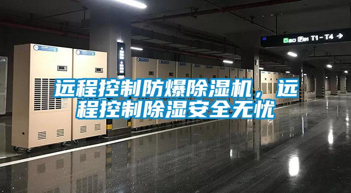 遠程控製防爆麻豆视频免费看，遠程控製除濕安全無憂