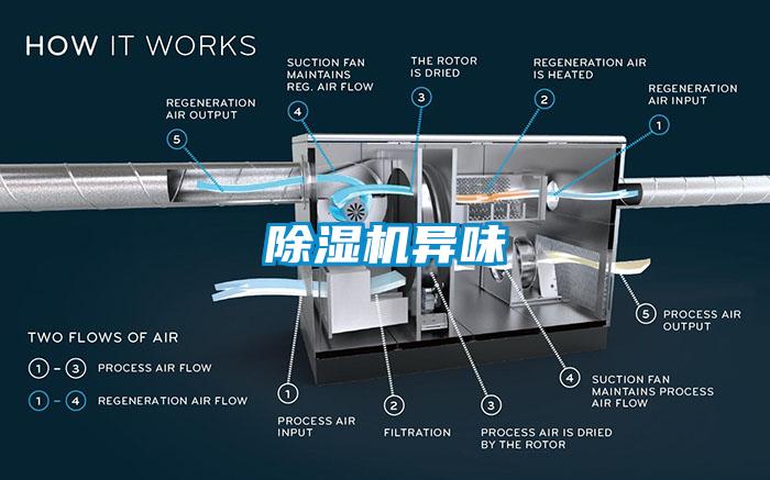 麻豆视频免费看異味