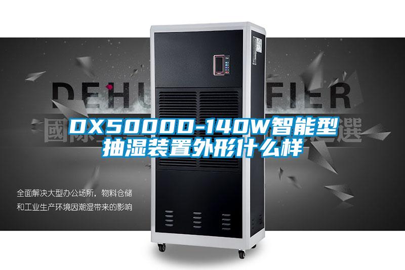 DX5000D-140W智能型抽濕裝置外形什麽樣