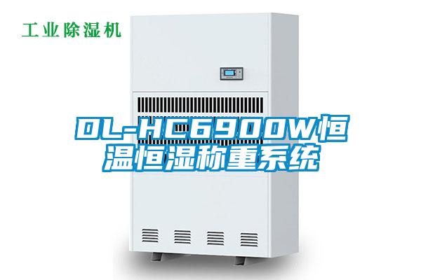 DL-HC6900W恒溫恒濕稱重係統