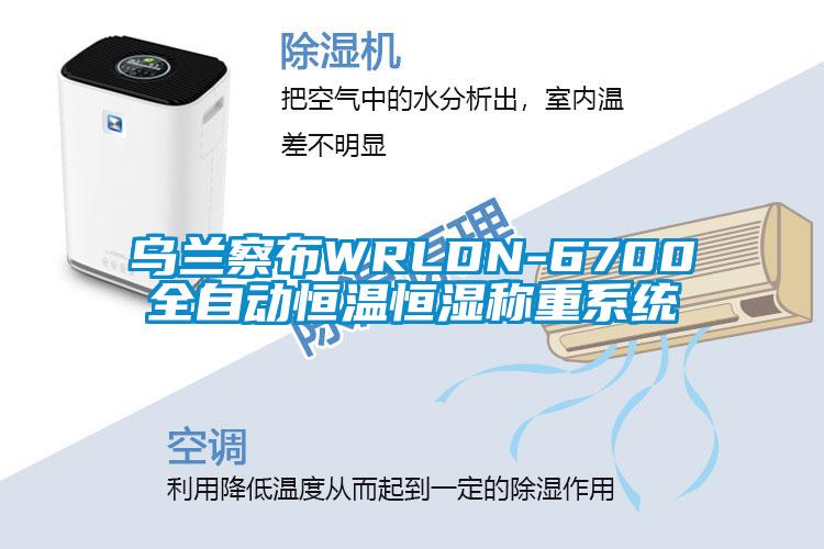 烏蘭察布WRLDN-6700全自動恒溫恒濕稱重係統