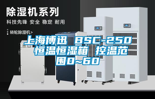 上海博迅 BSC-250 恒溫恒濕箱 控溫範圍0~60℃