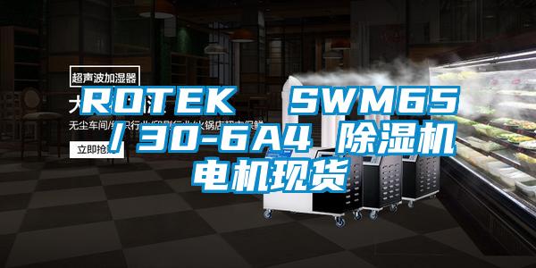 ROTEK  SWM65／30-6A4 麻豆视频免费看電機現貨