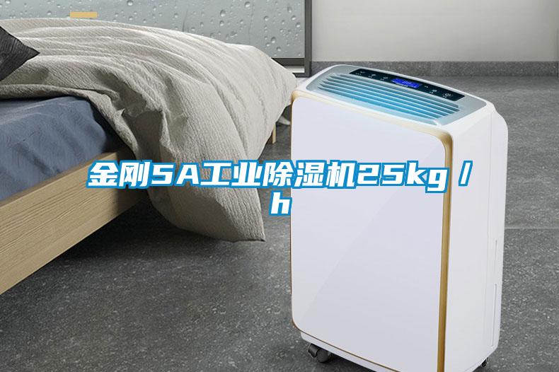 金剛5A工業麻豆视频免费看25kg／h