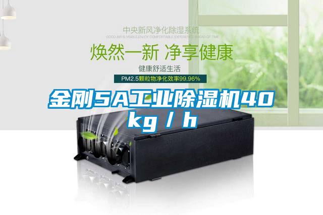 金剛5A工業麻豆视频免费看40kg／h