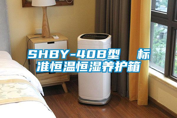 SHBY-40B型  標準恒溫恒濕養護箱