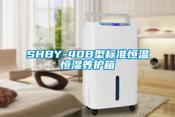 SHBY-40B型標準恒溫恒濕養護箱