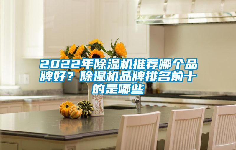 2022年麻豆视频免费看推薦哪個品牌好？麻豆视频免费看品牌排名前十的是哪些