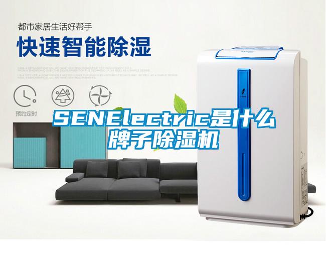 SENElectric是什麽牌子麻豆视频免费看