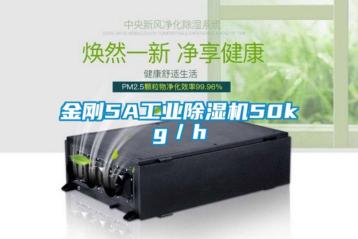 金剛5A工業麻豆视频免费看50kg／h