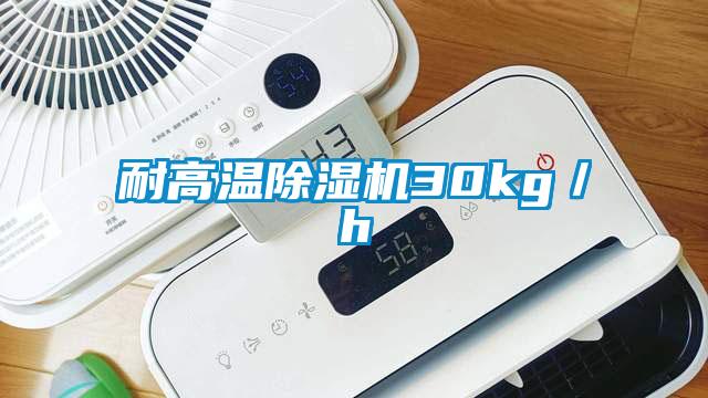 耐高溫麻豆视频免费看30kg／h