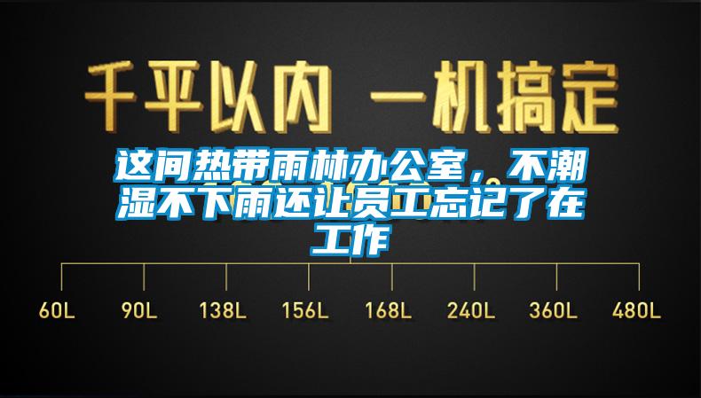 這間熱帶雨林辦公室，不潮濕不下雨還讓員工忘記了在工作