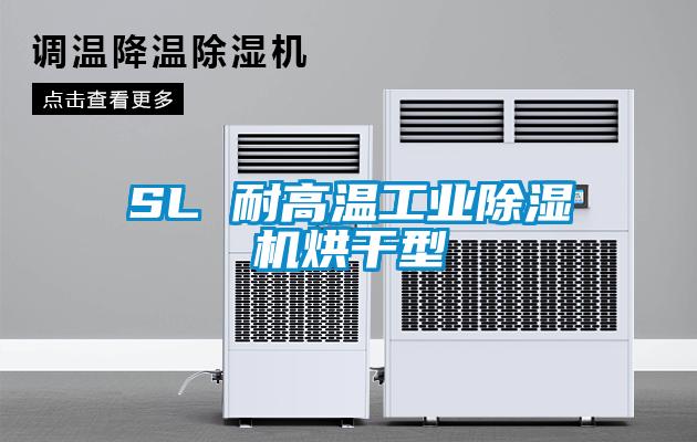 SL 耐高溫工業麻豆视频免费看烘幹型