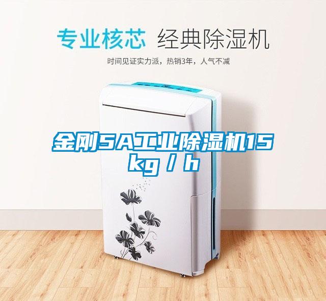 金剛5A工業麻豆视频免费看15kg／h