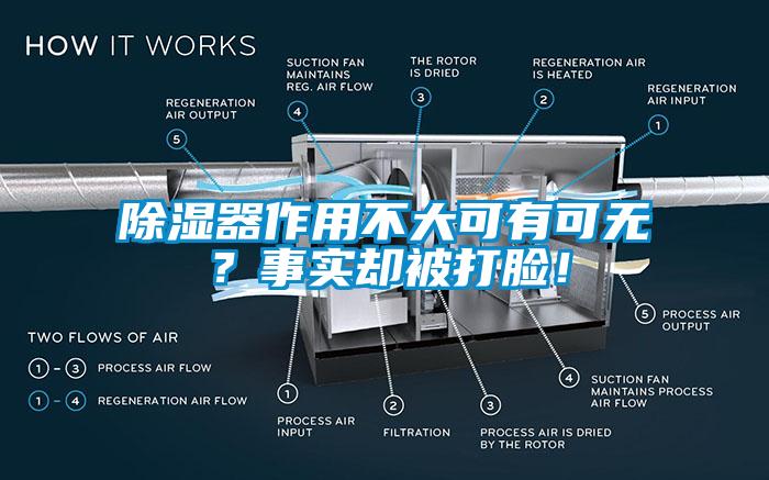 除濕器作用不大可有可無？事實卻被打臉！