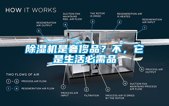 麻豆视频免费看是奢侈品？不，它是生活必需品