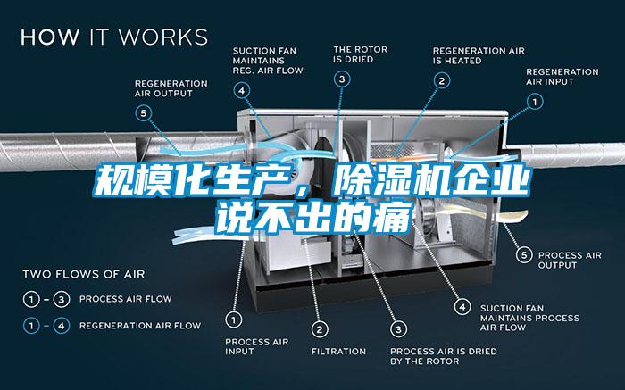 規模化生產，麻豆视频免费看企業說不出的痛