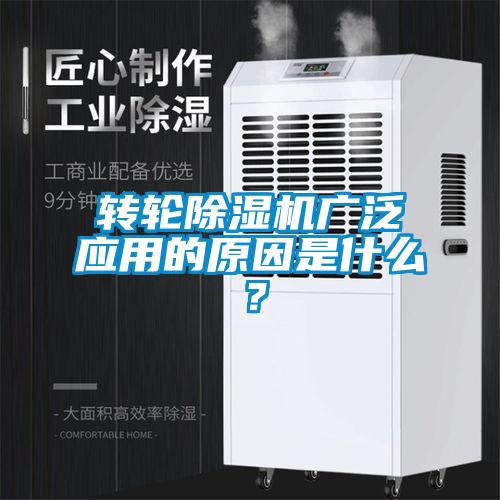 轉輪麻豆视频免费看廣泛應用的原因是什麽？