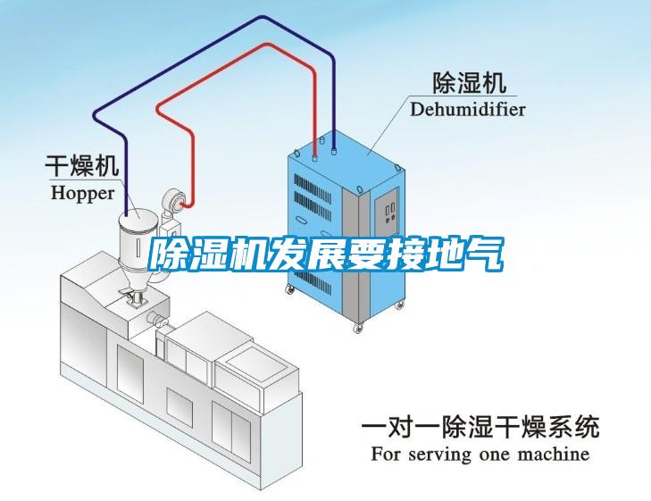 麻豆视频免费看發展要接地氣