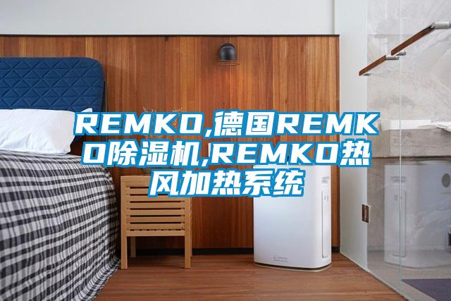 REMKO,德國REMKO麻豆视频免费看,REMKO熱風加熱係統