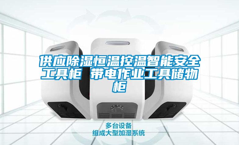 供應除濕恒溫控溫智能安全工具櫃 帶電作業工具儲物櫃