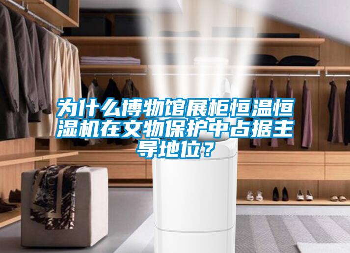 為什麽博物館展櫃恒溫恒濕機在文物保護中占據主導地位？