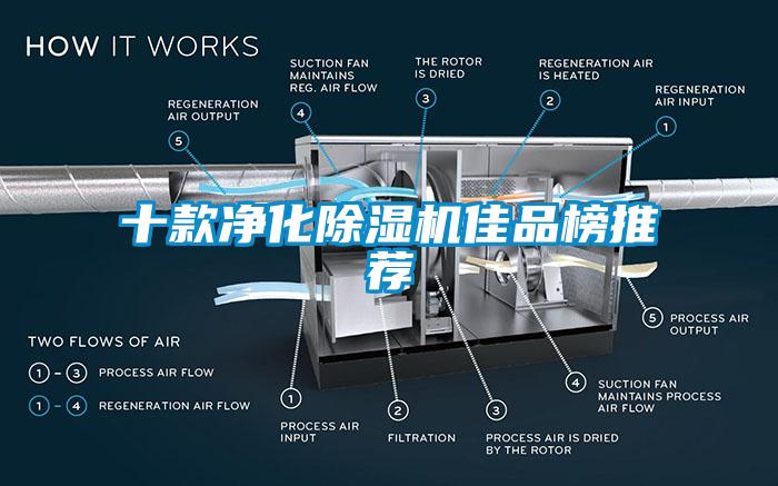 十款淨化麻豆视频免费看佳品榜推薦