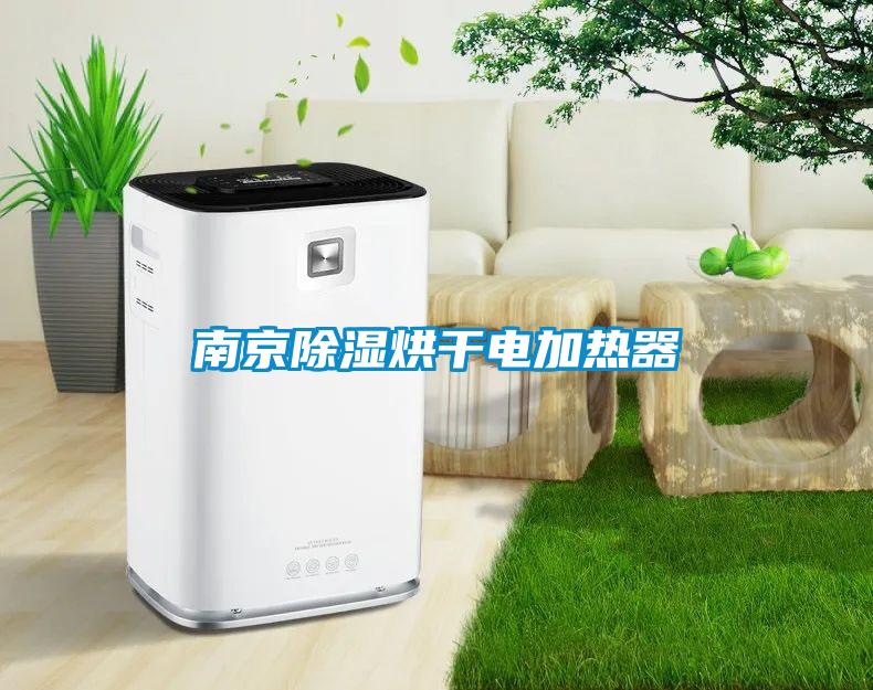 南京除濕烘幹電加熱器