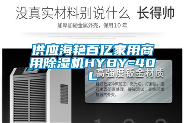 供應海豔百億家用商用麻豆视频免费看HYBY-40L