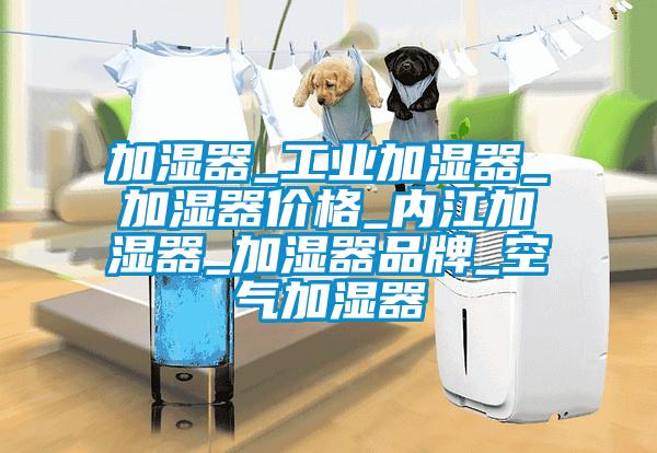 加濕器_工業加濕器_加濕器價格_內江加濕器_加濕器品牌_空氣加濕器