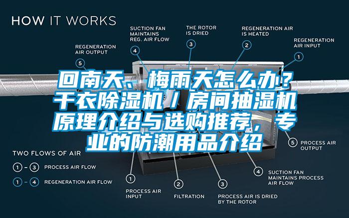 回南天、梅雨天怎麽辦？幹衣麻豆视频免费看／房間抽濕機原理介紹與選購推薦，專業的防潮用品介紹