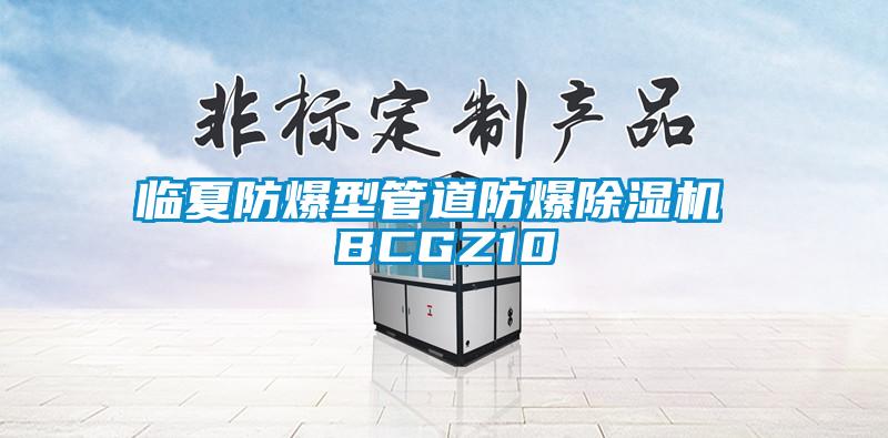 臨夏防爆型管道防爆麻豆视频免费看 BCGZ10